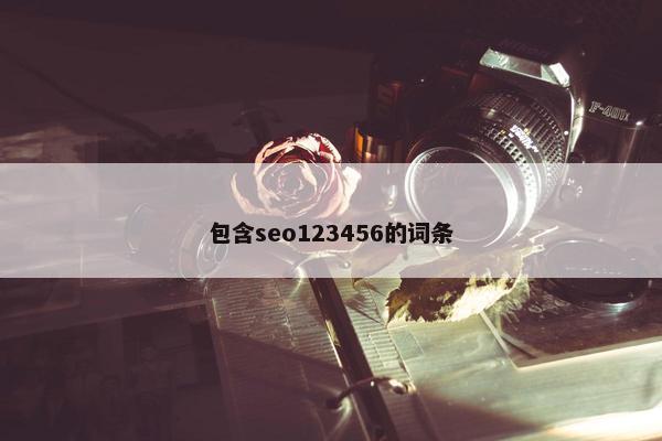 包含seo123456的词条