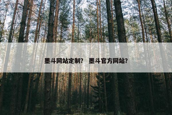 墨斗网站定制？ 墨斗官方网站？