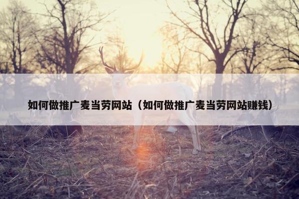 如何做推广麦当劳网站（如何做推广麦当劳网站赚钱）