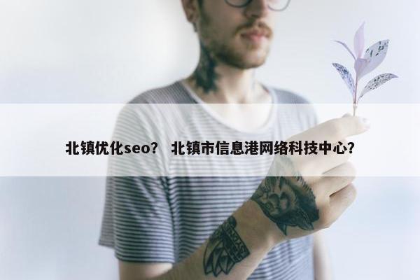 北镇优化seo？ 北镇市信息港网络科技中心？