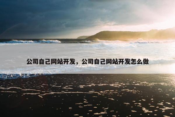 公司自己网站开发，公司自己网站开发怎么做