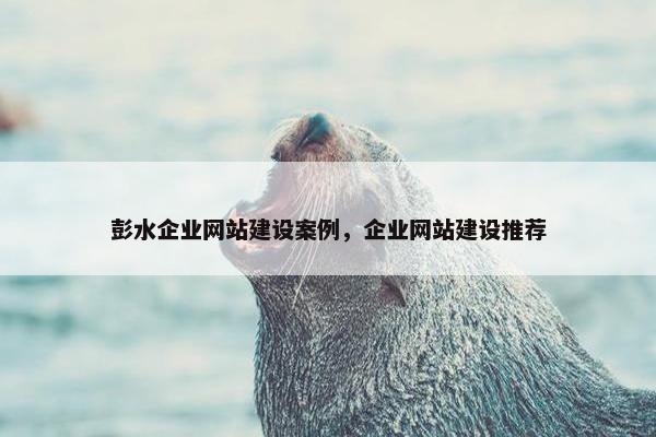 彭水企业网站建设案例，企业网站建设推荐