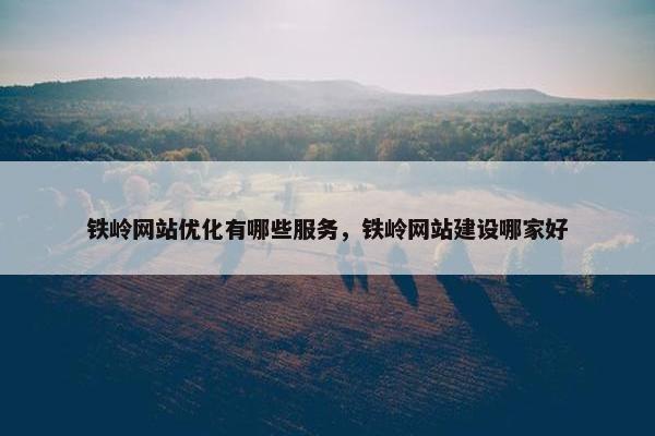 铁岭网站优化有哪些服务，铁岭网站建设哪家好