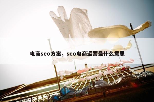 电商seo方案，seo电商运营是什么意思