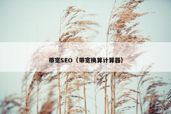 带宽SEO（带宽换算计算器）