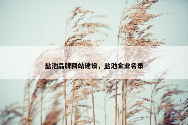 盐池品牌网站建设，盐池企业名录