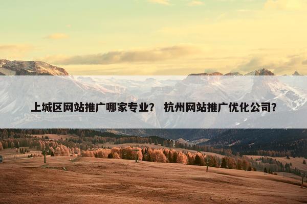 上城区网站推广哪家专业？ 杭州网站推广优化公司？