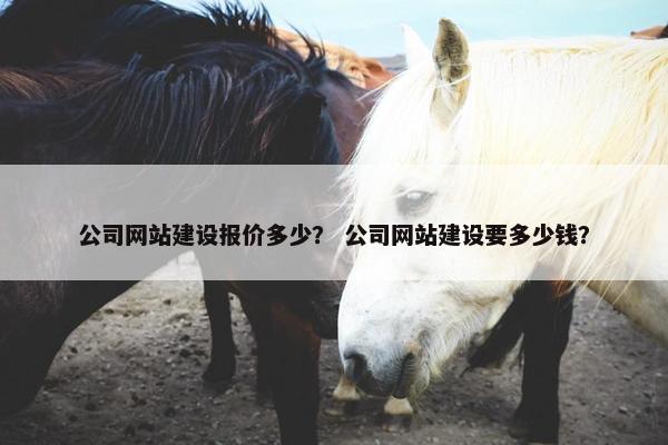 公司网站建设报价多少？ 公司网站建设要多少钱？