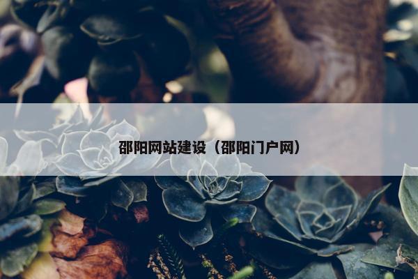 邵阳网站建设（邵阳门户网）