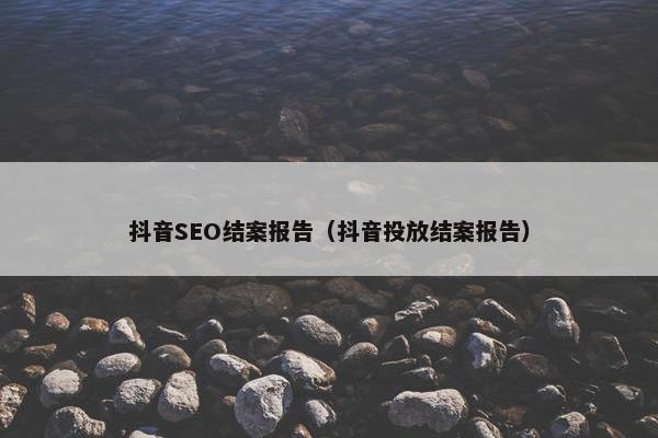 抖音SEO结案报告（抖音投放结案报告）