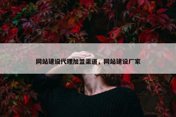 网站建设代理加盟渠道，网站建设厂家