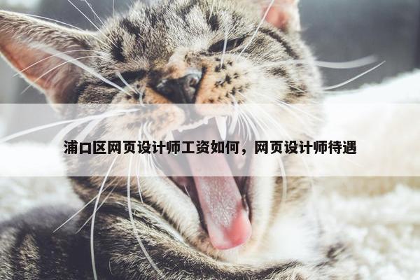 浦口区网页设计师工资如何，网页设计师待遇