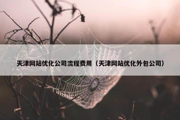 天津网站优化公司流程费用（天津网站优化外包公司）