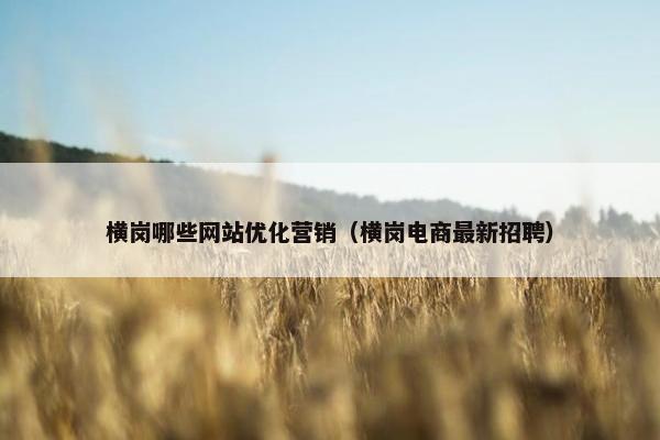 横岗哪些网站优化营销（横岗电商最新招聘）