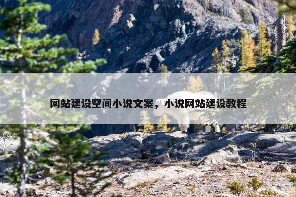 网站建设空间小说文案，小说网站建设教程