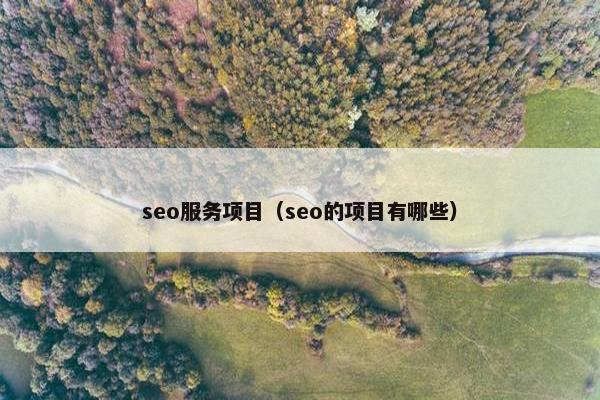 seo服务项目（seo的项目有哪些）