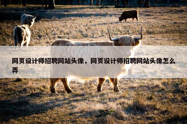 网页设计师招聘网站头像，网页设计师招聘网站头像怎么弄