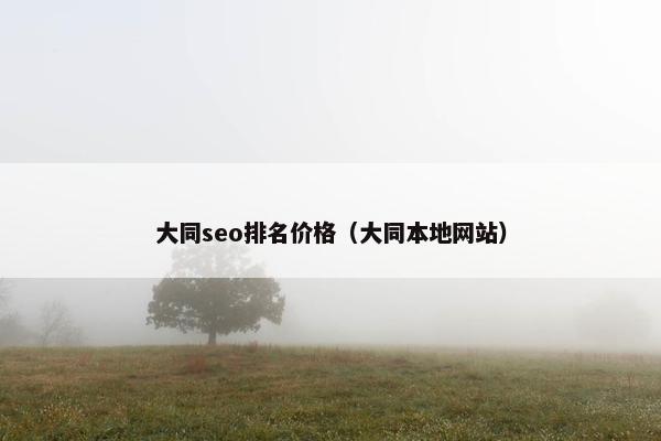 大同seo排名价格（大同本地网站）