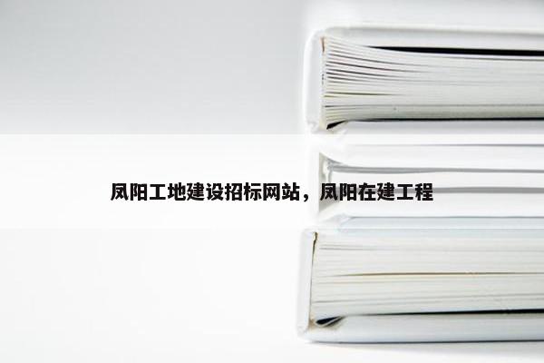凤阳工地建设招标网站，凤阳在建工程