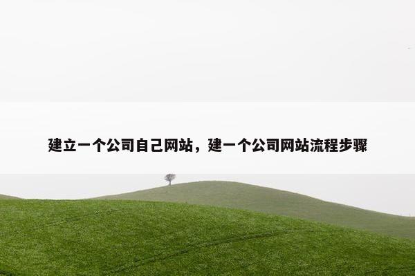 建立一个公司自己网站，建一个公司网站流程步骤