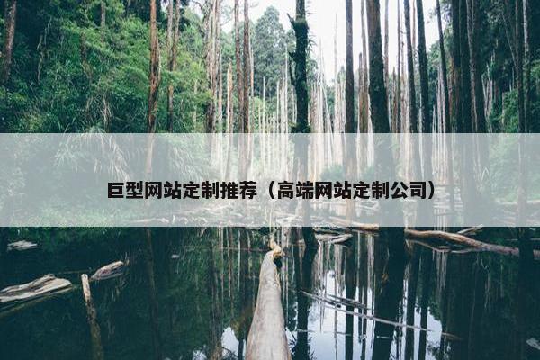 巨型网站定制推荐（高端网站定制公司）