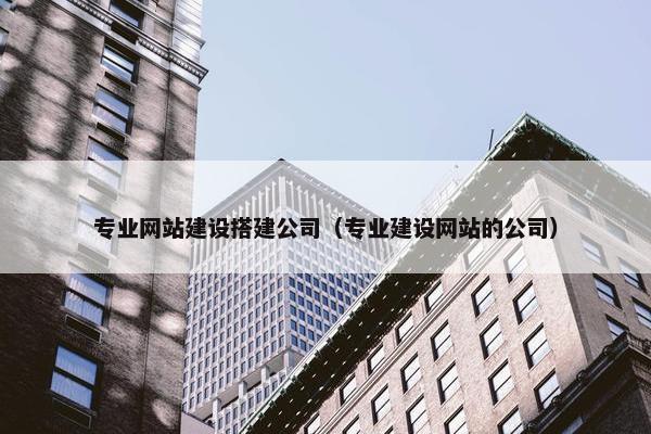 专业网站建设搭建公司（专业建设网站的公司）