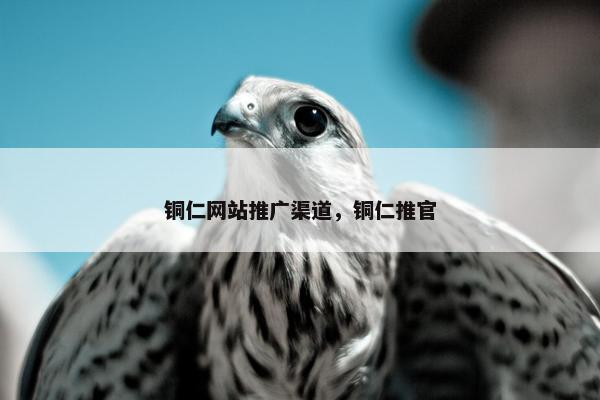 铜仁网站推广渠道，铜仁推官