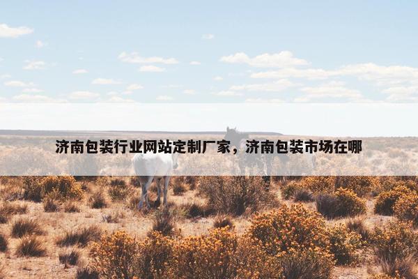 济南包装行业网站定制厂家，济南包装市场在哪