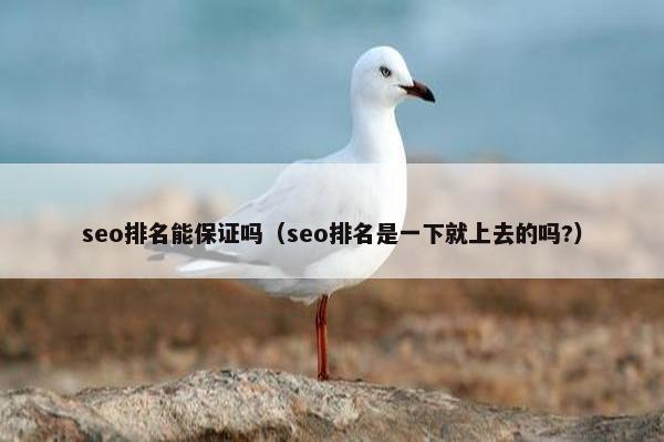 seo排名能保证吗（seo排名是一下就上去的吗?）
