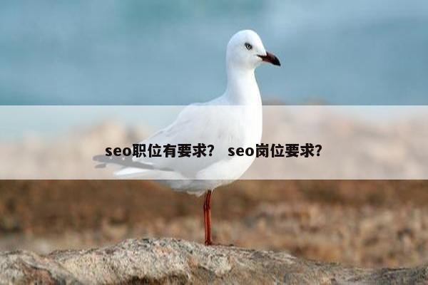 seo职位有要求？ seo岗位要求？