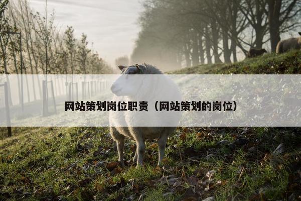 网站策划岗位职责（网站策划的岗位）