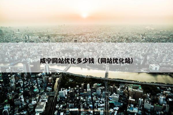 咸宁网站优化多少钱（网站优化站）