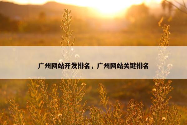 广州网站开发排名，广州网站关键排名