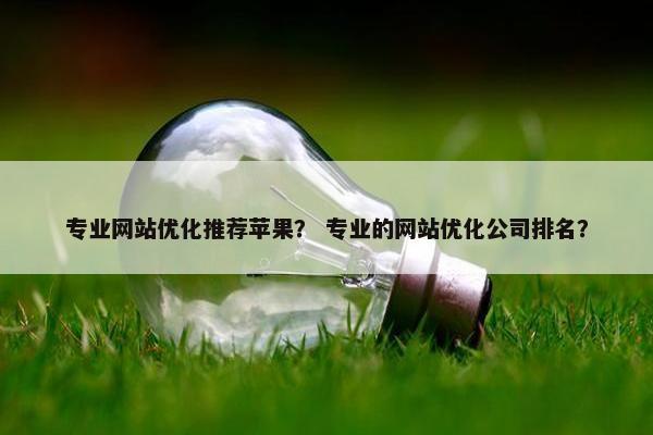 专业网站优化推荐苹果？ 专业的网站优化公司排名？