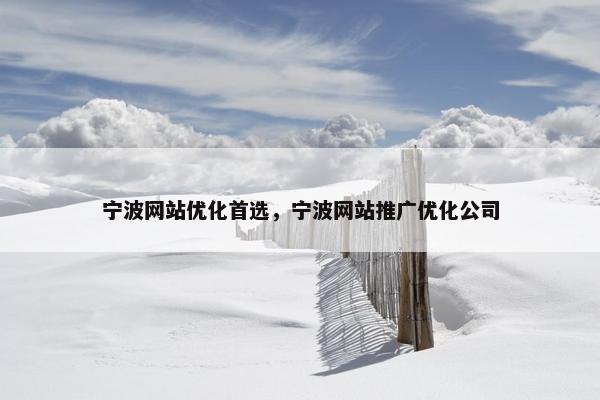宁波网站优化首选，宁波网站推广优化公司