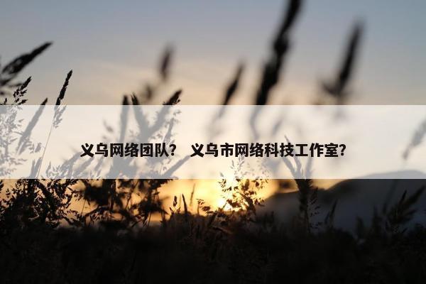 义乌网络团队？ 义乌市网络科技工作室？