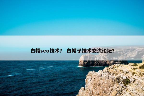 白帽seo技术？ 白帽子技术交流论坛？