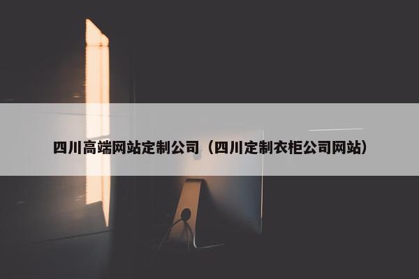 四川高端网站定制公司（四川定制衣柜公司网站）