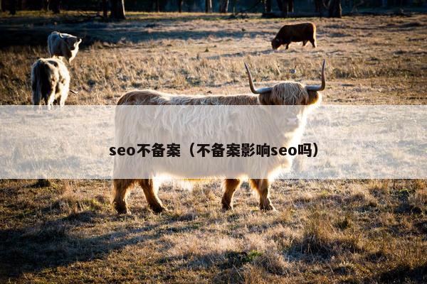 seo不备案（不备案影响seo吗）