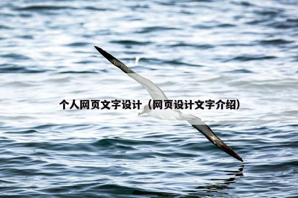 个人网页文字设计（网页设计文字介绍）