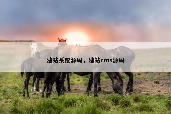 建站系统源码，建站cms源码