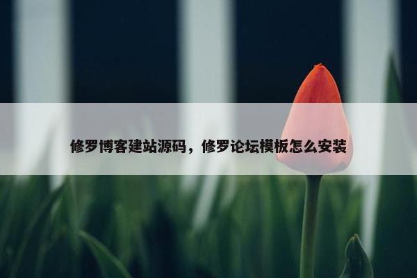修罗博客建站源码，修罗论坛模板怎么安装