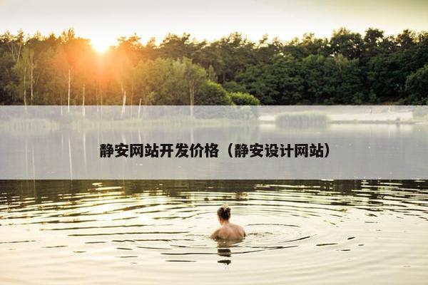 静安网站开发价格（静安设计网站）