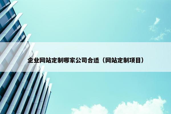 企业网站定制哪家公司合适（网站定制项目）