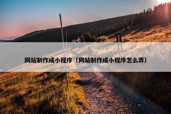 网站制作成小程序（网站制作成小程序怎么弄）
