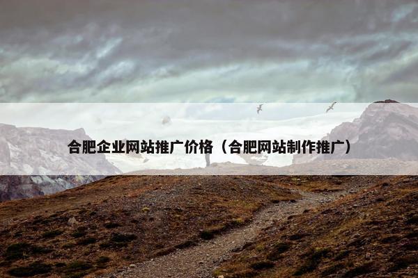 合肥企业网站推广价格（合肥网站制作推广）