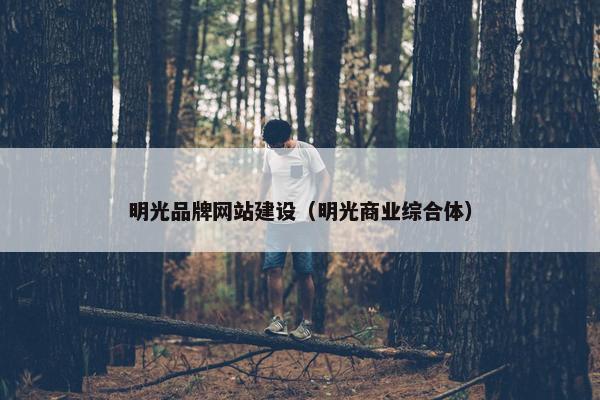 明光品牌网站建设（明光商业综合体）