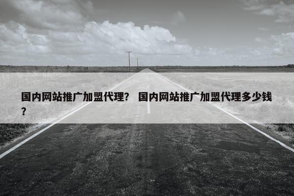 国内网站推广加盟代理？ 国内网站推广加盟代理多少钱？