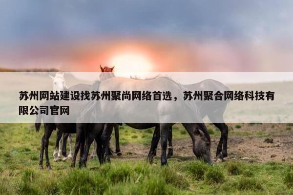 苏州网站建设找苏州聚尚网络首选，苏州聚合网络科技有限公司官网