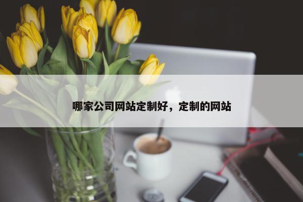 哪家公司网站定制好，定制的网站